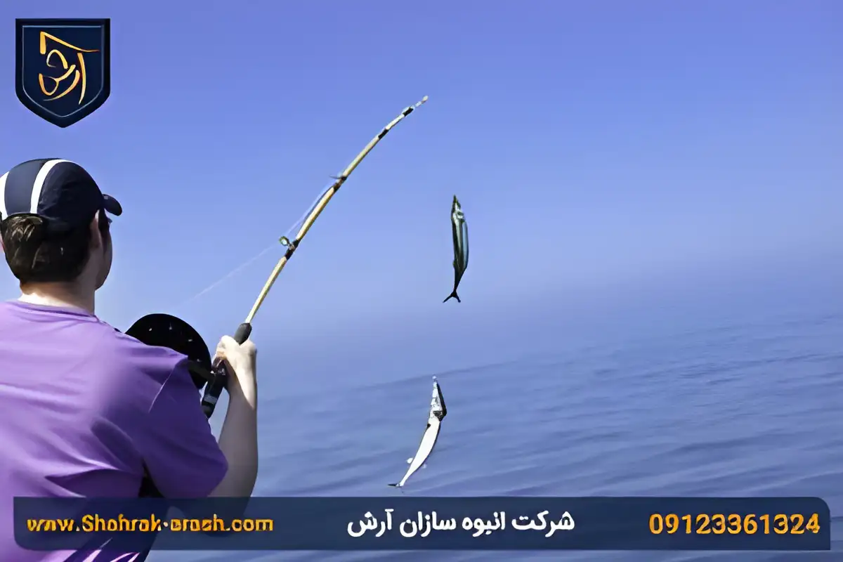 ماهیگیری در منطقه آزاد زیباکنار