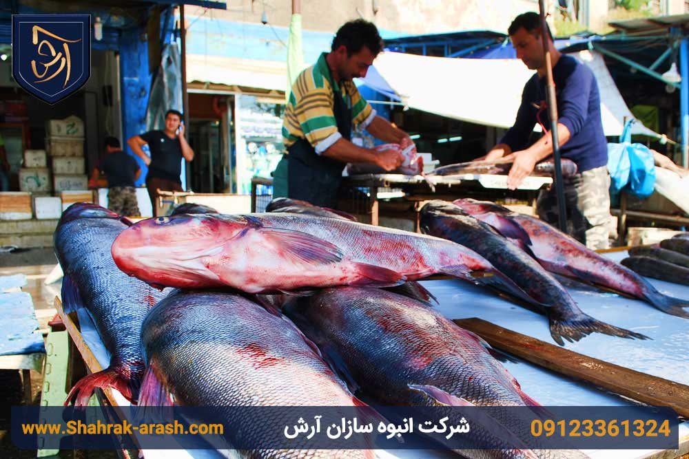 بازار ماهی فروشان انزلی