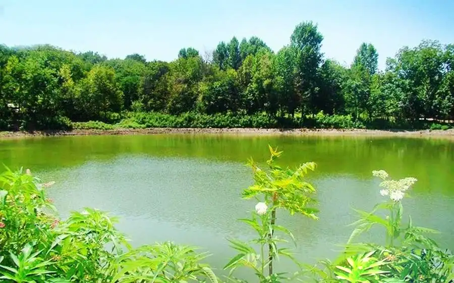 دریاچه روستای حلیمه جان