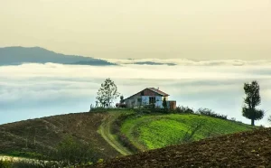 خرید کلبه در فیلبند