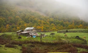 طبیعت زیبای دیلمان